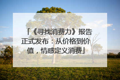 《寻找消费力》报告正式发布：从价格到价值，情感定义消费