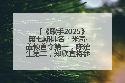 《歌手2025》第七期排名：米奇·盖顿首夺第一，陈楚生第二，郑欣宜将参加下一轮张榜赛