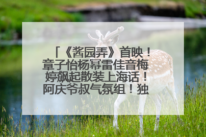 《酱园弄》首映！章子怡杨幂雷佳音梅婷飙起散装上海话！阿庆爷叔气氛组！独独没见他……