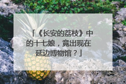 《长安的荔枝》中的十七娘，竟出现在延边博物馆？