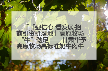 「强信心 看发展·招商引资拼落地」高原牧场“牛”劲足——甘肃华予高原牧场高标准奶牛肉牛养殖项目一线见闻