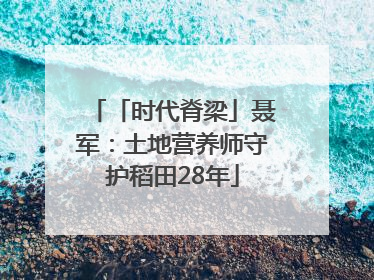 「时代脊梁」聂军：土地营养师守护稻田28年