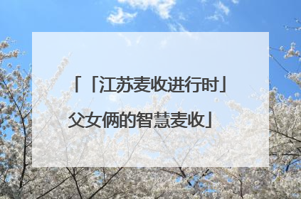 「江苏麦收进行时」父女俩的智慧麦收