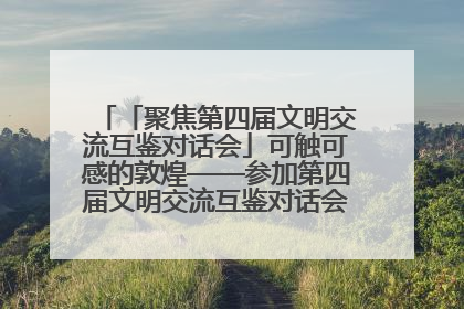 「聚焦第四届文明交流互鉴对话会」可触可感的敦煌——参加第四届文明交流互鉴对话会的外宾参观上元市集