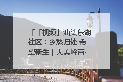 「视频」汕头东湖社区：乡愁归处 希望新生｜大美岭南·百村焕新记