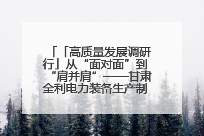 「高质量发展调研行」从“面对面”到“肩并肩”——甘肃全利电力装备生产制造项目一线见闻