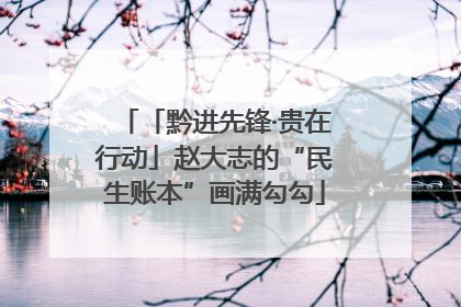 「黔进先锋·贵在行动」赵大志的“民生账本”画满勾勾