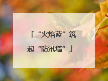 “火焰蓝”筑起“防汛墙”