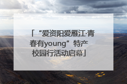 “爱资阳爱雁江·青春有young”特产校园行活动启幕