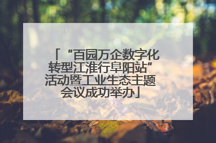 “百园万企数字化转型江淮行阜阳站”活动暨工业生态主题会议成功举办