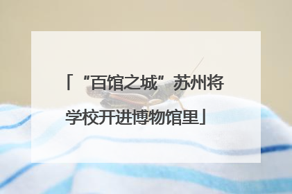 “百馆之城”苏州将学校开进博物馆里