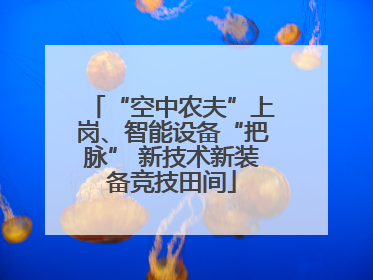 “空中农夫”上岗、智能设备“把脉” 新技术新装备竞技田间