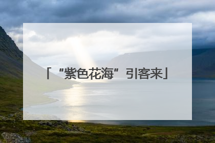 “紫色花海”引客来