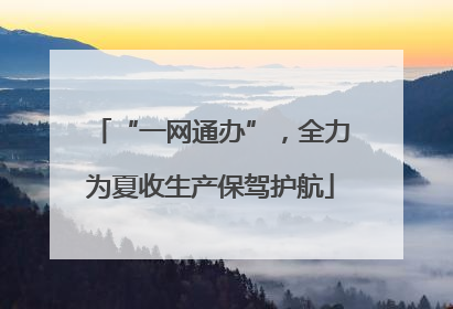 “一网通办”，全力为夏收生产保驾护航
