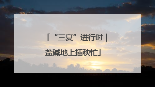 “三夏”进行时｜盐碱地上插秧忙