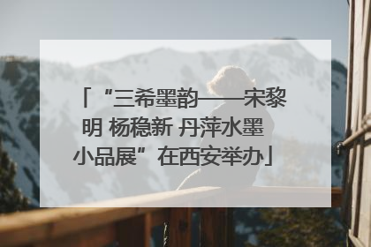 “三希墨韵——宋黎明 杨稳新 丹萍水墨小品展”在西安举办