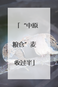“中原粮仓”麦收过半