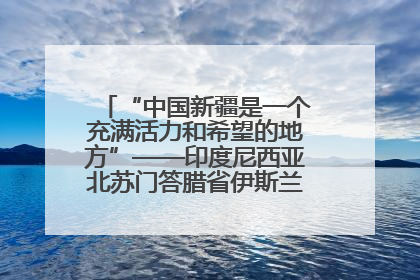 “中国新疆是一个充满活力和希望的地方”——印度尼西亚北苏门答腊省伊斯兰教代表团参访新疆