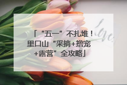 “五一”不扎堆！里口山“采摘+撸宠+露营”全攻略