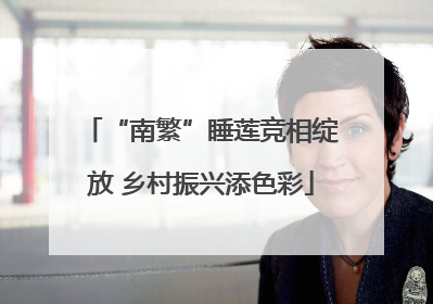 “南繁”睡莲竞相绽放 乡村振兴添色彩