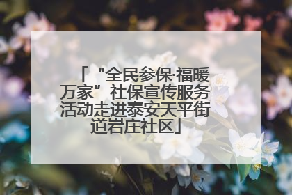 “全民参保·福暖万家”社保宣传服务活动走进泰安天平街道岩庄社区