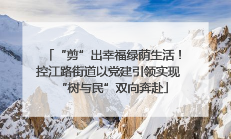 “剪”出幸福绿荫生活！控江路街道以党建引领实现“树与民”双向奔赴