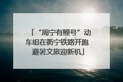 “周宁有鲤号”动车组在衢宁铁路开跑 避暑文旅迎新机