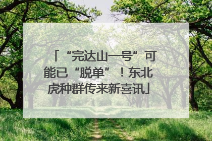 “完达山一号”可能已“脱单”！东北虎种群传来新喜讯