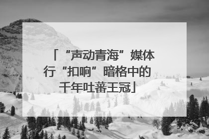 “声动青海”媒体行“扣响”暗格中的千年吐蕃王冠
