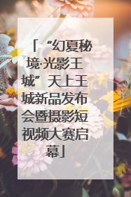 “幻夏秘境·光影王城”天上王城新品发布会暨摄影短视频大赛启幕