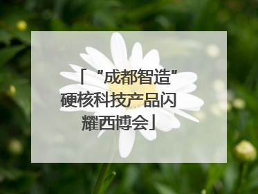“成都智造”硬核科技产品闪耀西博会