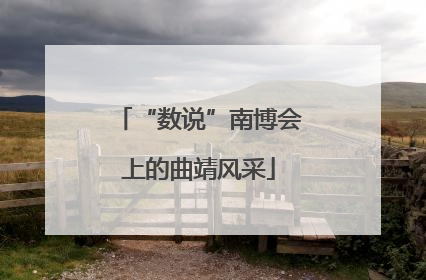 “数说”南博会上的曲靖风采