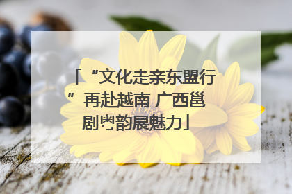 “文化走亲东盟行”再赴越南 广西邕剧粤韵展魅力