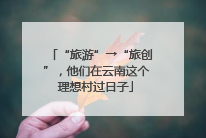 “旅游”→“旅创”，他们在云南这个理想村过日子
