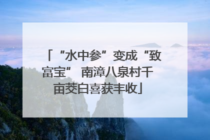 “水中参”变成“致富宝” 南漳八泉村千亩茭白喜获丰收