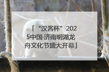 “汉酱杯”2025中国·济南明湖龙舟文化节盛大开幕