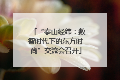 “泰山经纬：数智时代下的东方时尚”交流会召开