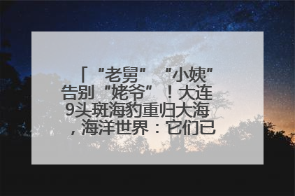 “老舅”“小姨”告别“姥爷”！大连9头斑海豹重归大海，海洋世界：它们已具备野外生存能力