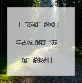 “苏超”燃动千年古城 跟着“苏超”游扬州
