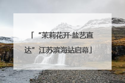 “茉莉花开·盐艺直达”江苏滨海站启幕