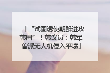 “试图诱使朝鲜进攻韩国”！韩议员：韩军曾派无人机侵入平壤
