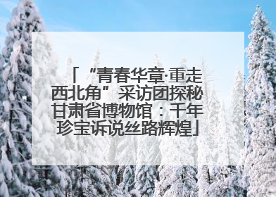 “青春华章·重走西北角”采访团探秘甘肃省博物馆：千年珍宝诉说丝路辉煌