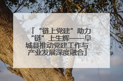 “链上党建”助力“链”上生辉——阜城县推动党建工作与产业发展深度融合