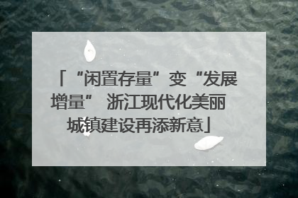 “闲置存量”变“发展增量” 浙江现代化美丽城镇建设再添新意