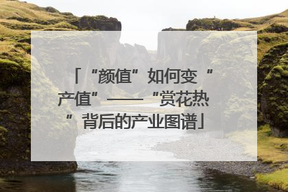 “颜值”如何变“产值”——“赏花热”背后的产业图谱
