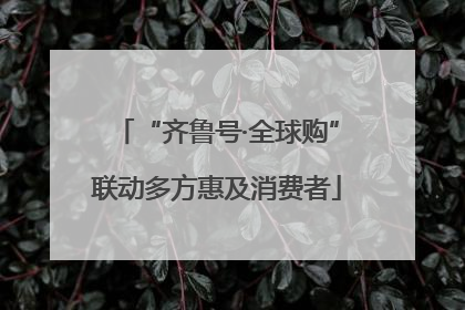 “齐鲁号·全球购”联动多方惠及消费者
