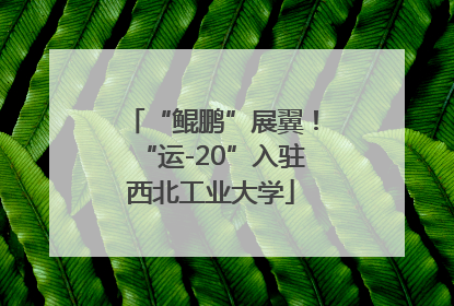 “鲲鹏”展翼！“运-20”入驻西北工业大学