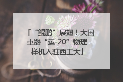 “鲲鹏”展翅！大国重器“运-20”物理样机入驻西工大