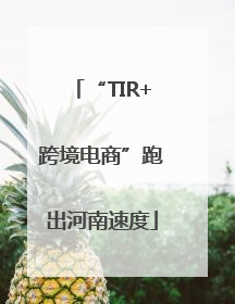 “TIR+跨境电商”跑出河南速度