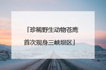 珍稀野生动物苍鹰首次现身三峡坝区